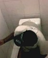  Spy In The Toilet
