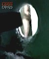 Shower Gloryhole