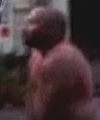 Naked Man In Bridgeport Ct