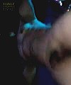 Close Up Cock