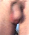 Cock In Close Up