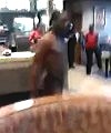 Naked Man In McDonald's