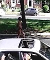 Collings Rd Camden Naked Guy