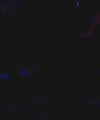 Ladies Night Cop (HQ 647mb)