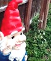 Pissing On Gnome