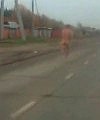 Russian Man Running