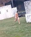 Naked Gauntlet At Tpa Paintball