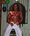 Stallion (Gallery)