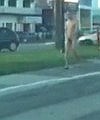 Nude Man Waking Down The Street