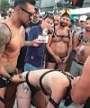 Gay Festival