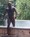 Naked Black Muscle In The Garden