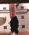 Toilet Wank 