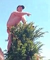 Naked Tree Lad
