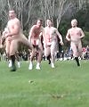 NZ Rugby 